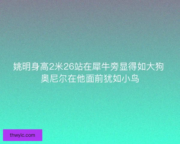 姚明身高2米26站在犀牛旁显得如大狗 奥尼尔在他面前犹如小鸟