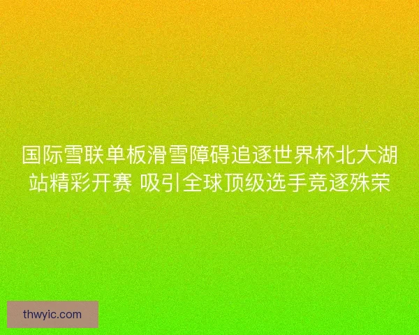 国际雪联单板滑雪障碍追逐世界杯北大湖站精彩开赛 吸引全球顶级选手竞逐殊荣